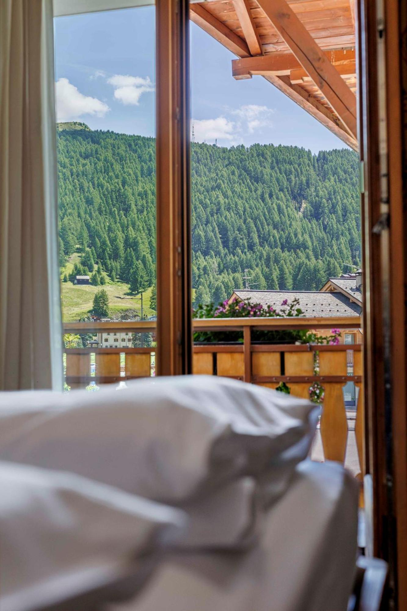 Engadina *